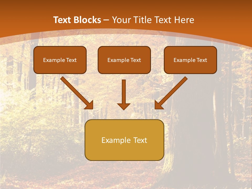European Trees Pathway PowerPoint Template