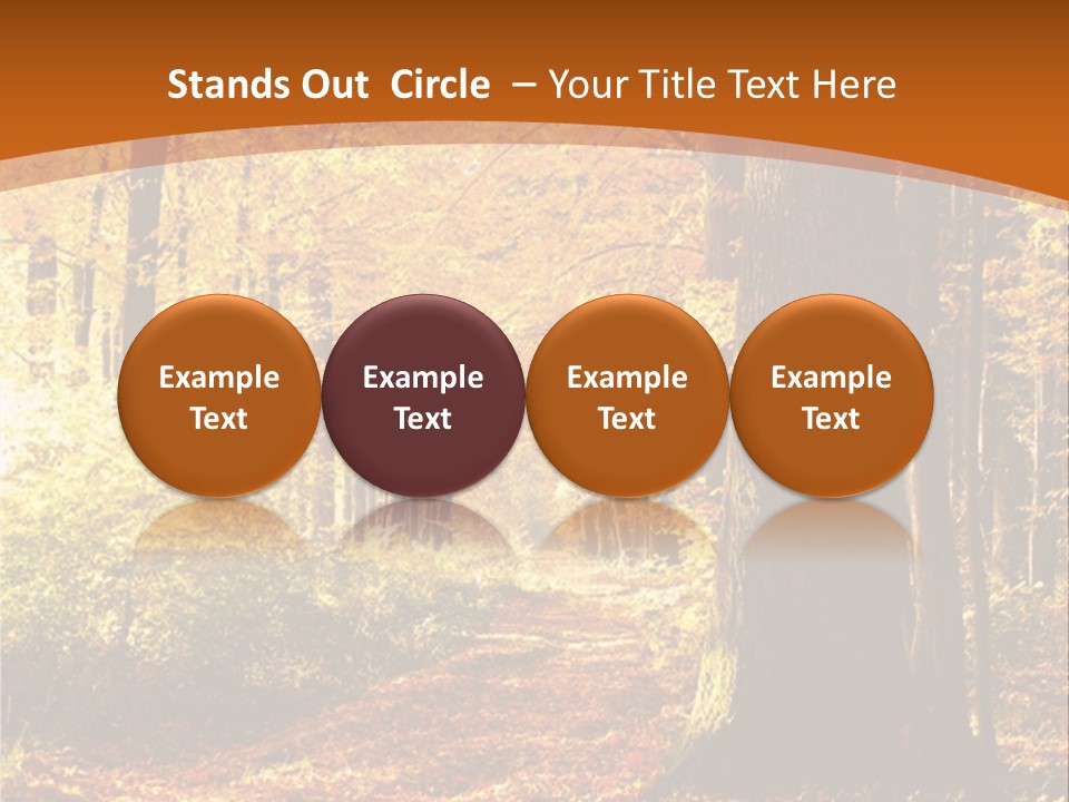 European Trees Pathway PowerPoint Template