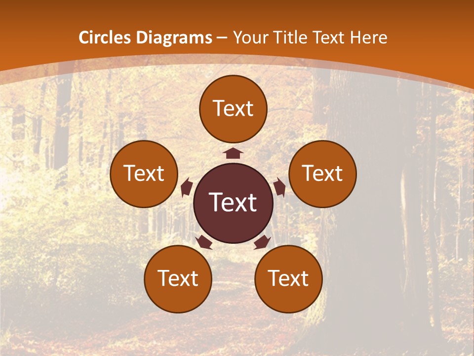 European Trees Pathway PowerPoint Template