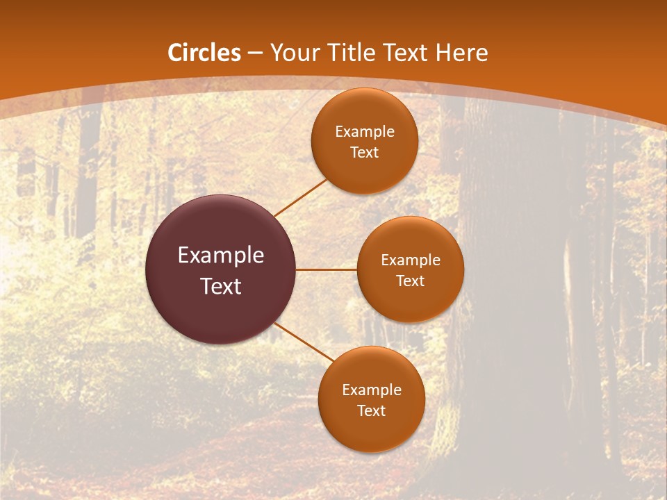 European Trees Pathway PowerPoint Template