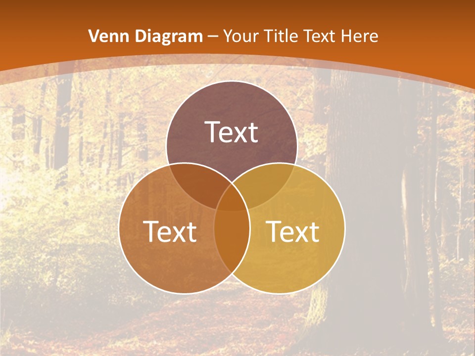 European Trees Pathway PowerPoint Template