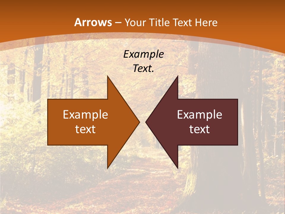 European Trees Pathway PowerPoint Template