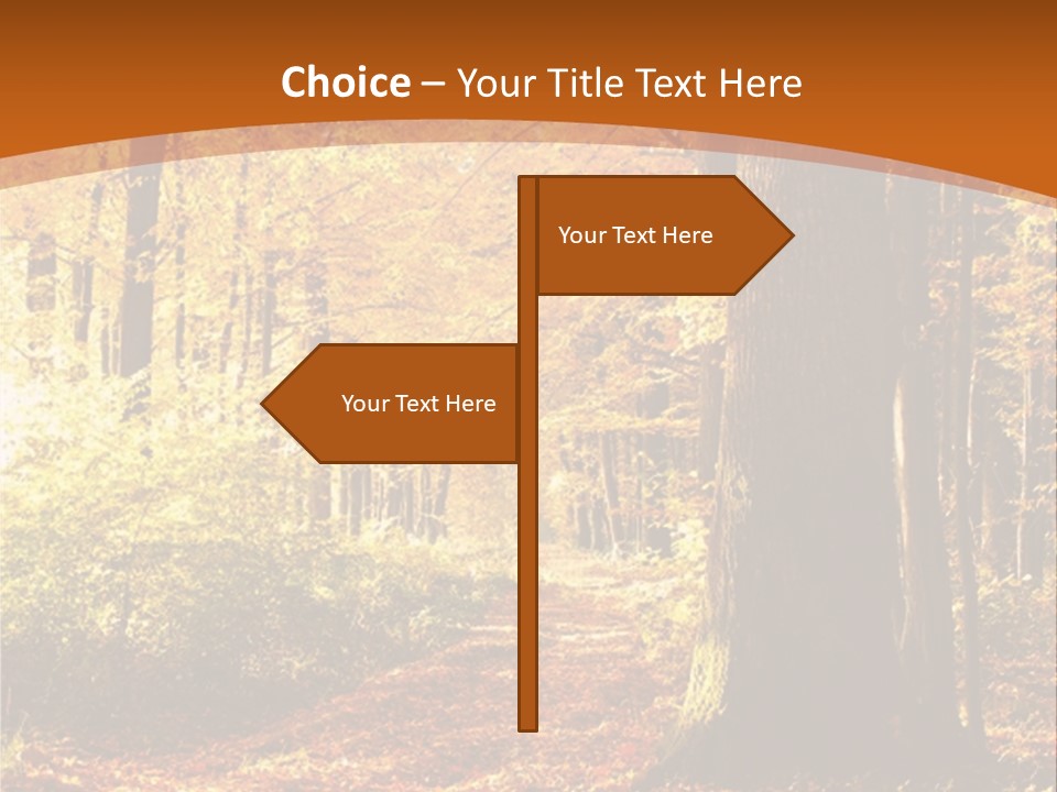 European Trees Pathway PowerPoint Template