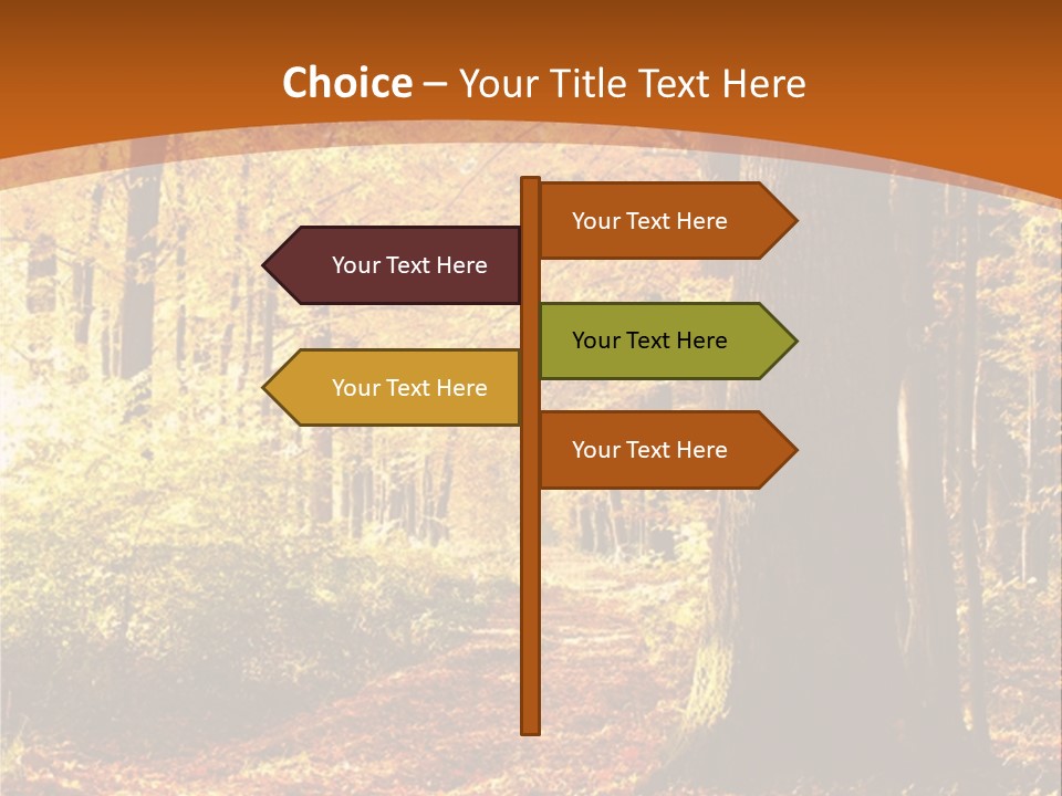 European Trees Pathway PowerPoint Template