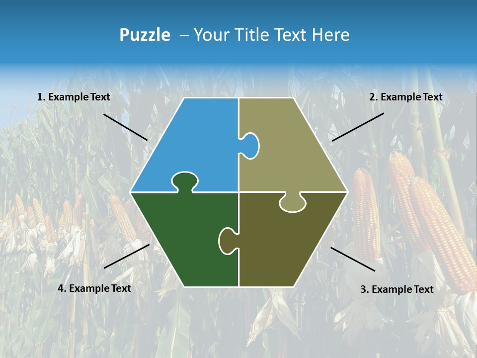 Nature Agriculture Food PowerPoint Template
