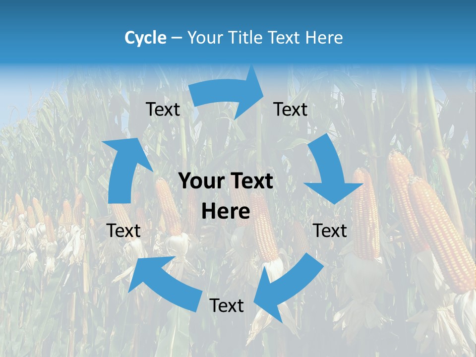 Nature Agriculture Food PowerPoint Template