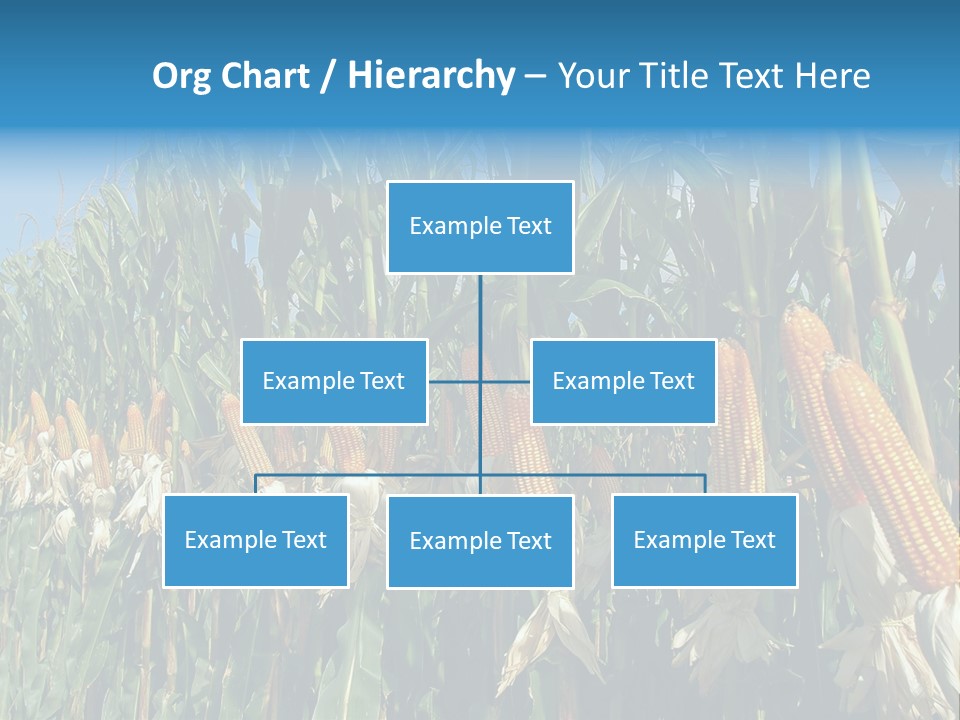 Nature Agriculture Food PowerPoint Template
