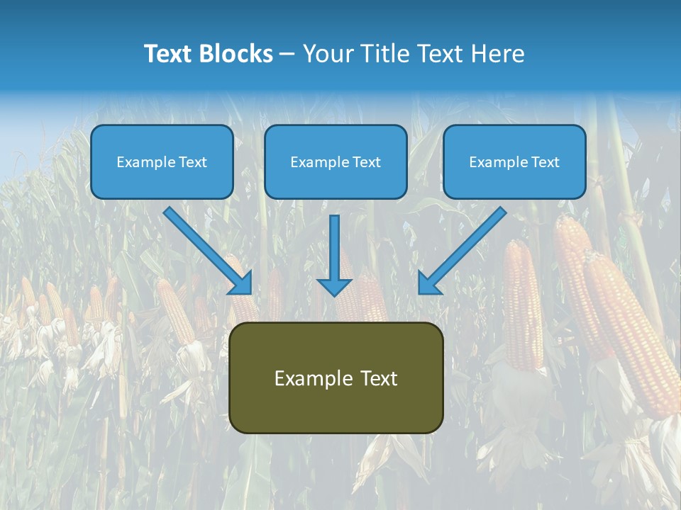 Nature Agriculture Food PowerPoint Template