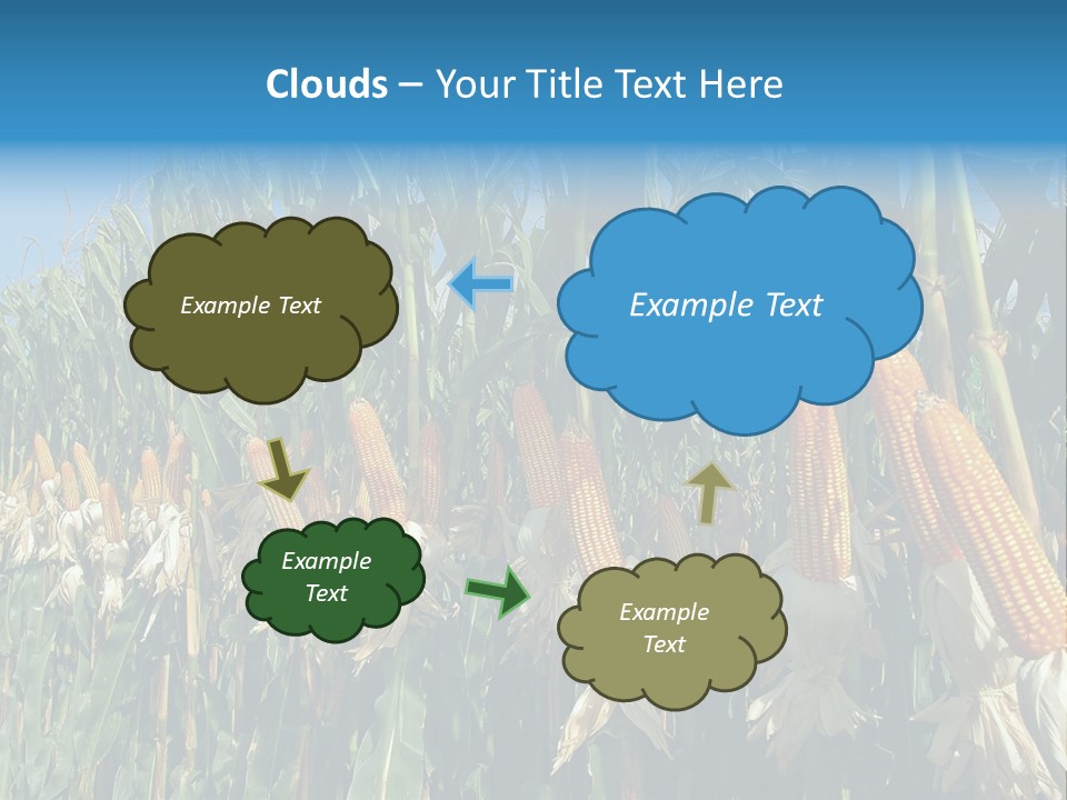 Nature Agriculture Food PowerPoint Template