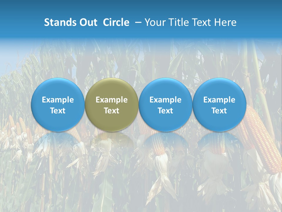 Nature Agriculture Food PowerPoint Template