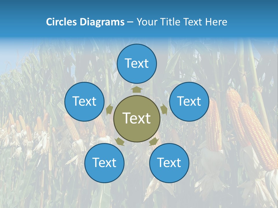 Nature Agriculture Food PowerPoint Template