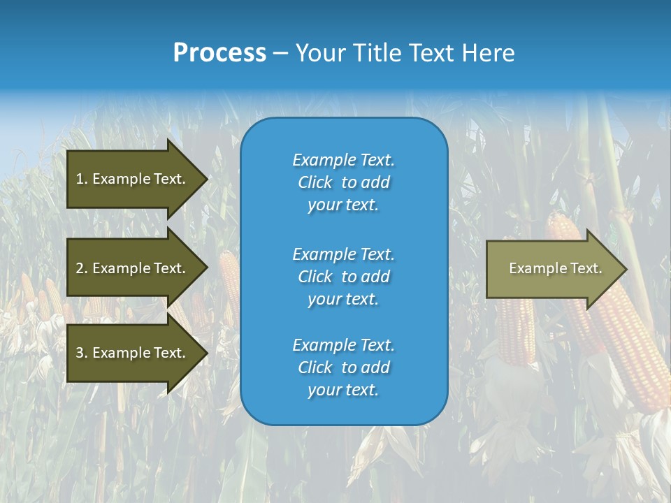 Nature Agriculture Food PowerPoint Template