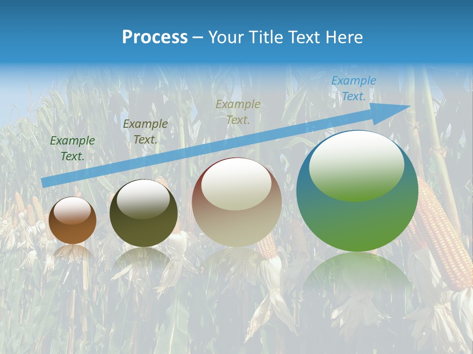 Nature Agriculture Food PowerPoint Template