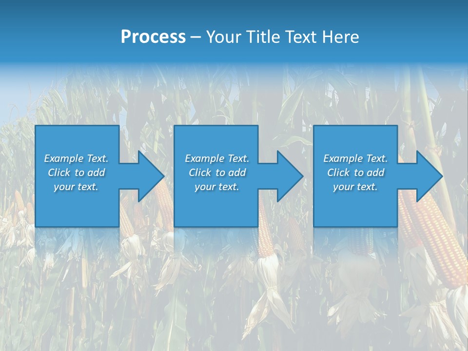 Nature Agriculture Food PowerPoint Template