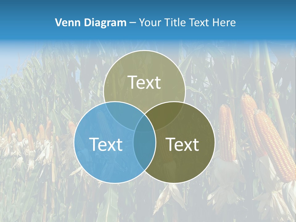 Nature Agriculture Food PowerPoint Template