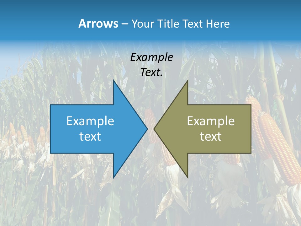 Nature Agriculture Food PowerPoint Template