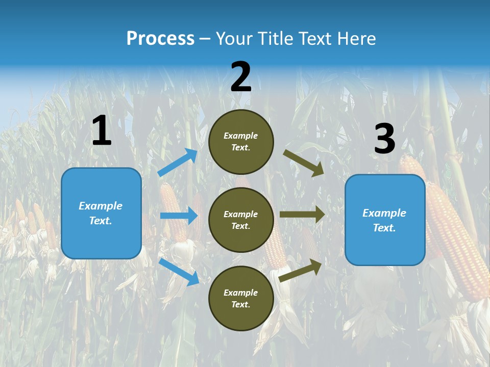 Nature Agriculture Food PowerPoint Template