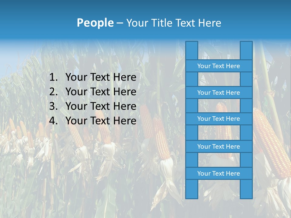 Nature Agriculture Food PowerPoint Template