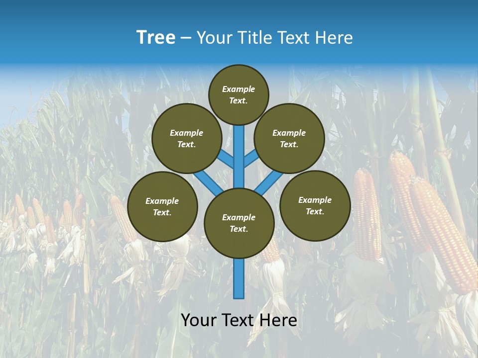 Nature Agriculture Food PowerPoint Template