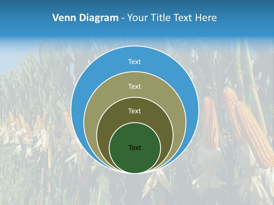 Nature Agriculture Food PowerPoint Template
