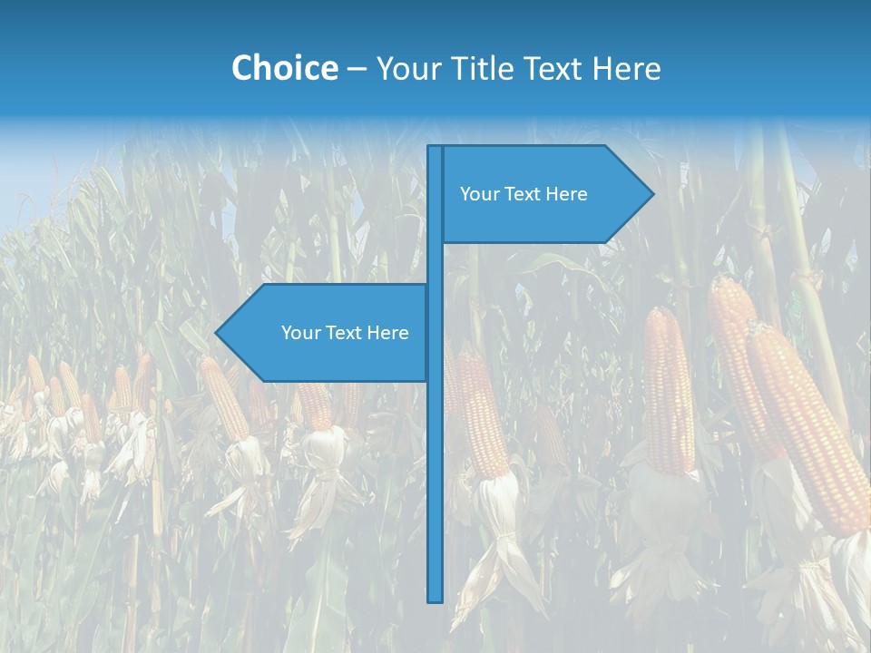 Nature Agriculture Food PowerPoint Template