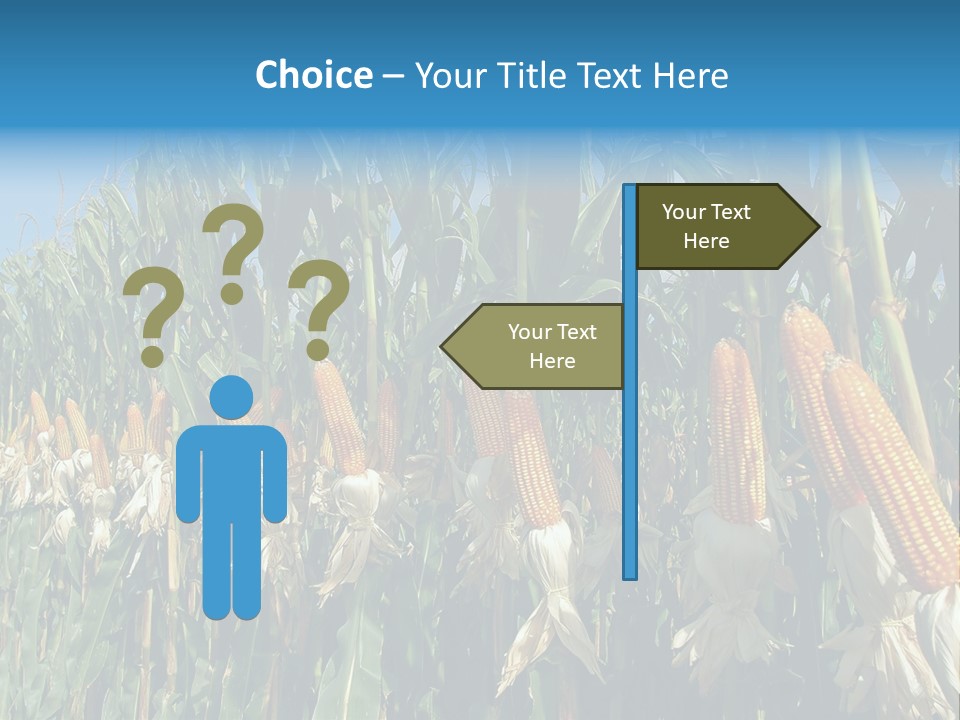 Nature Agriculture Food PowerPoint Template