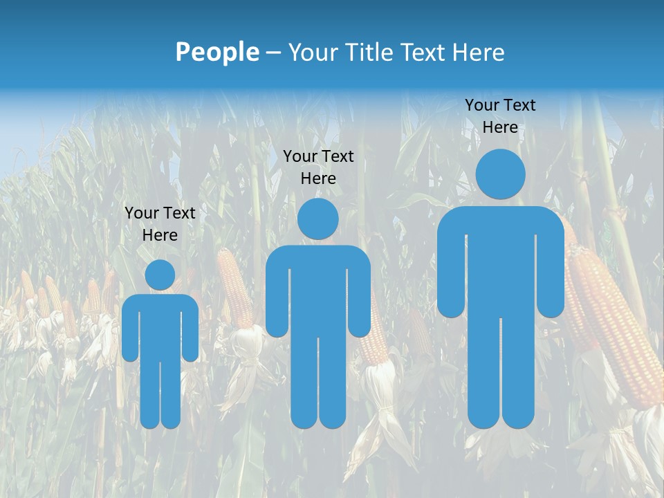 Nature Agriculture Food PowerPoint Template