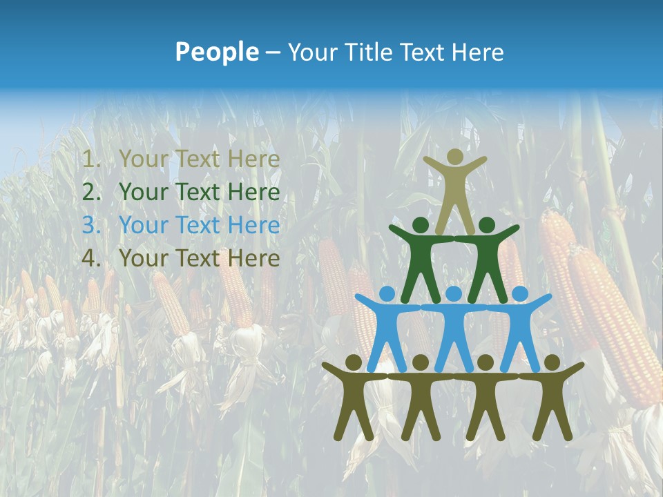 Nature Agriculture Food PowerPoint Template