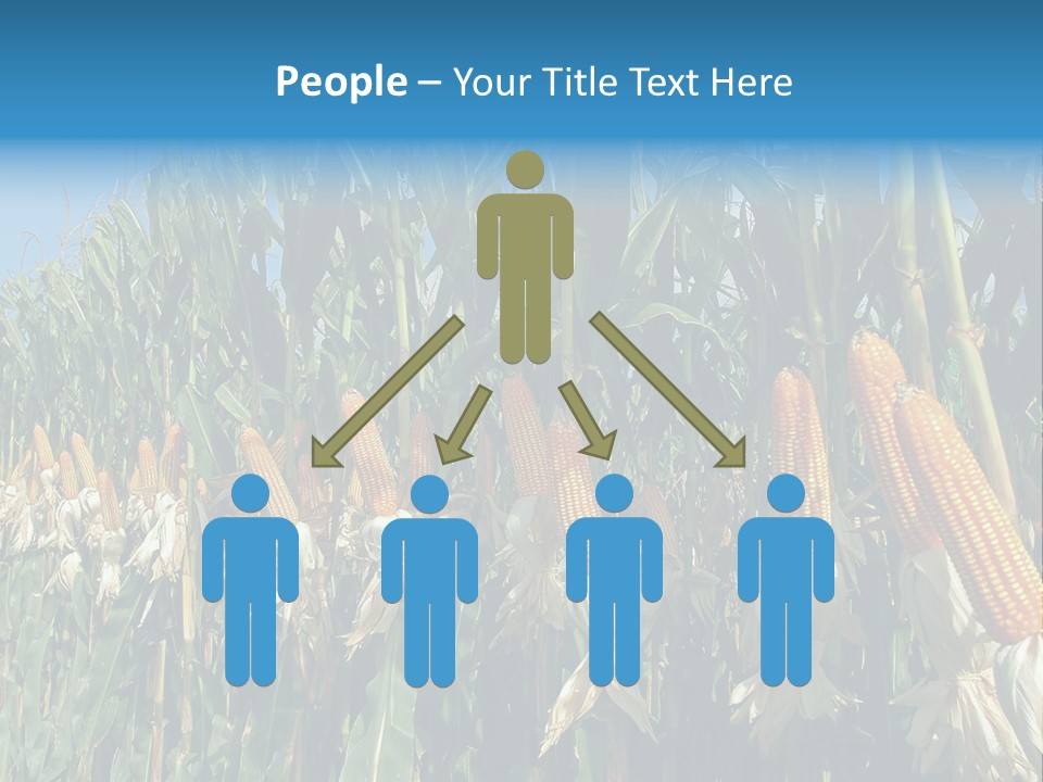 Nature Agriculture Food PowerPoint Template