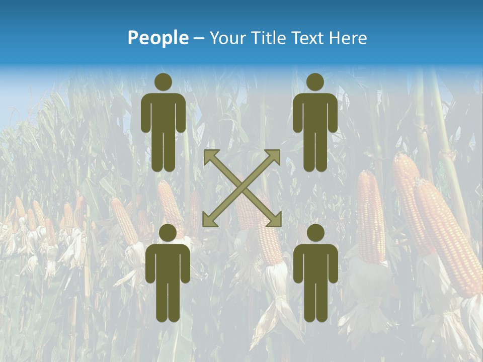 Nature Agriculture Food PowerPoint Template