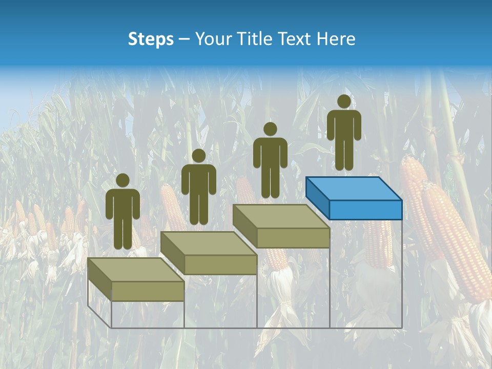 Nature Agriculture Food PowerPoint Template