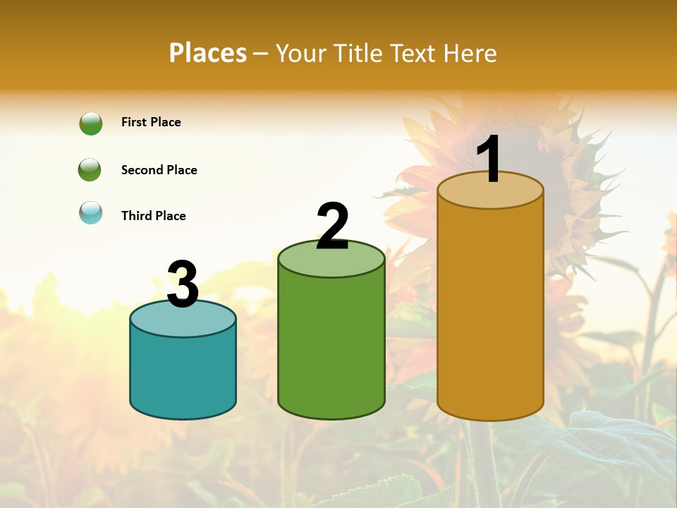 Sunflower Pollen Field PowerPoint Template