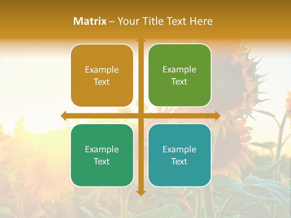 Sunflower Pollen Field PowerPoint Template