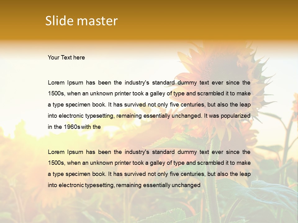 Sunflower Pollen Field PowerPoint Template