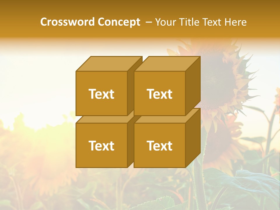 Sunflower Pollen Field PowerPoint Template