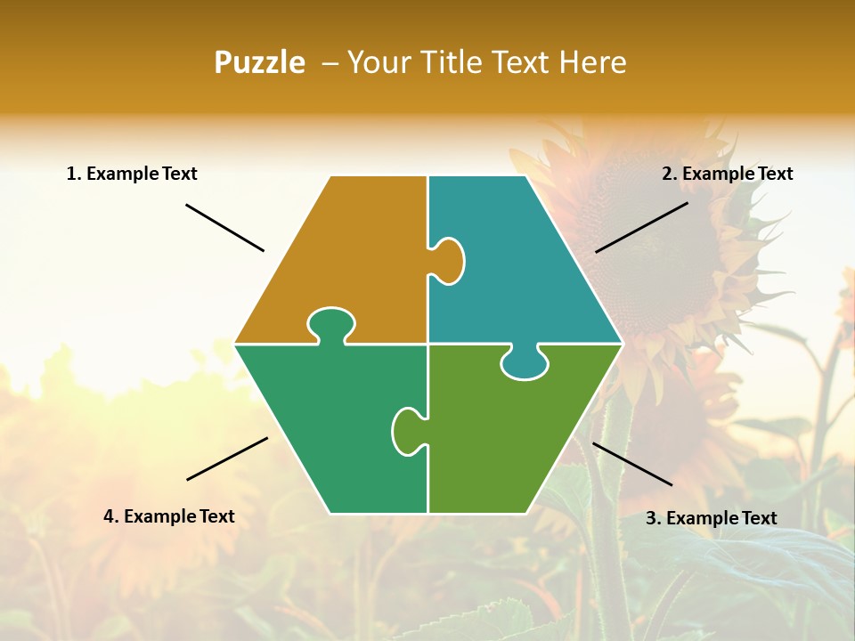 Sunflower Pollen Field PowerPoint Template