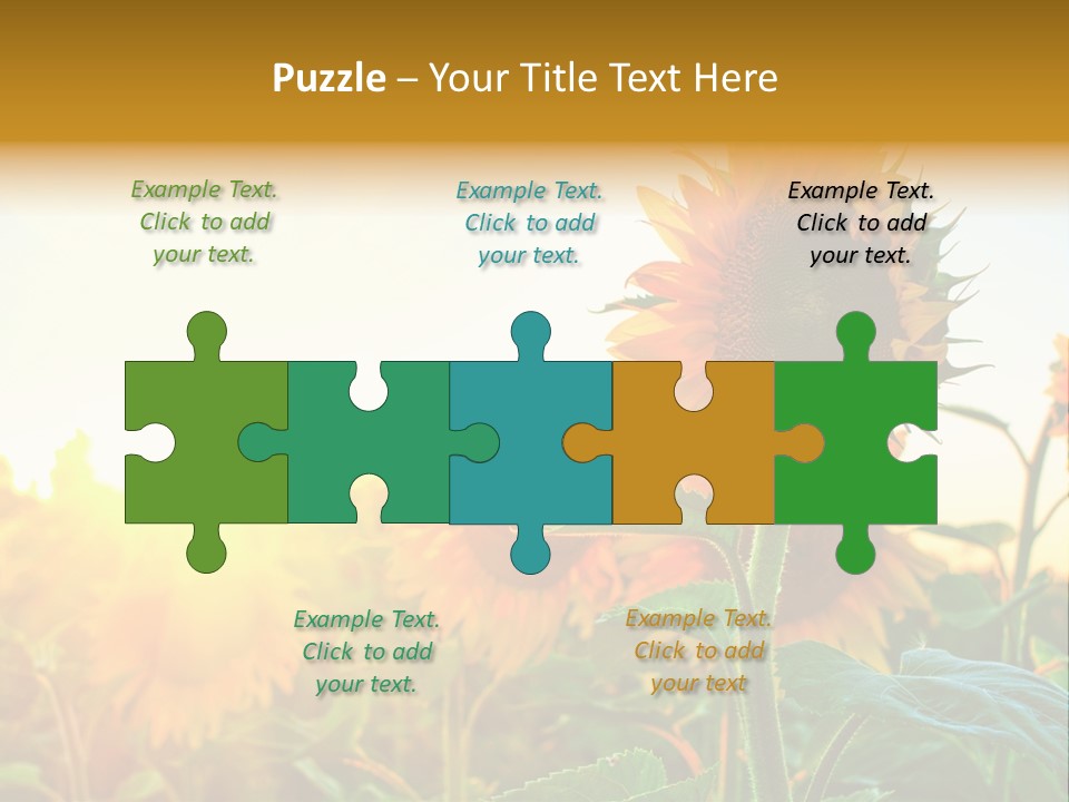 Sunflower Pollen Field PowerPoint Template