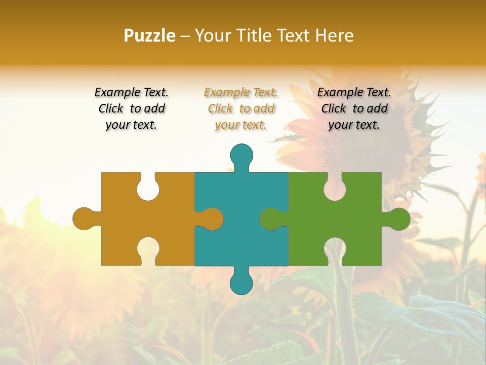 Sunflower Pollen Field PowerPoint Template