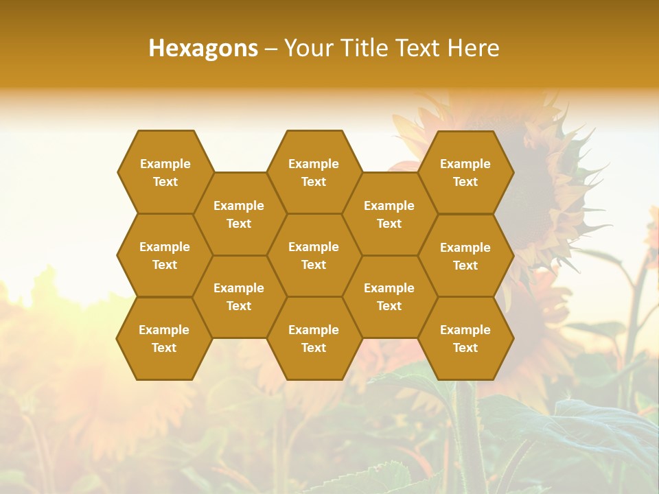 Sunflower Pollen Field PowerPoint Template