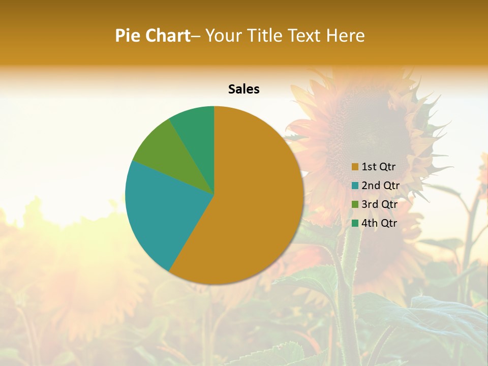 Sunflower Pollen Field PowerPoint Template