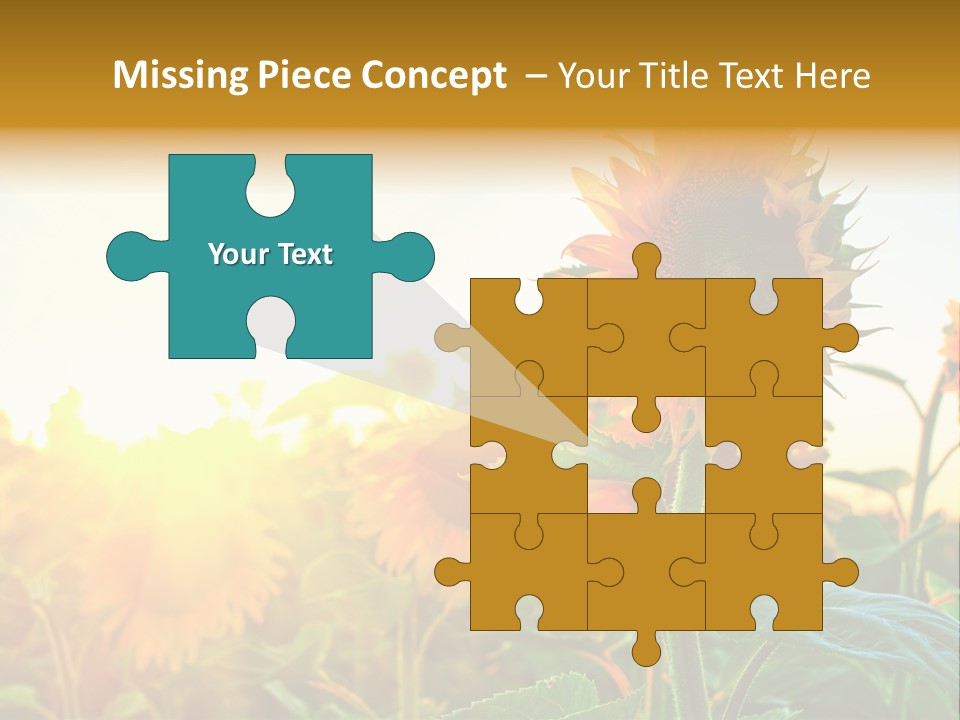 Sunflower Pollen Field PowerPoint Template