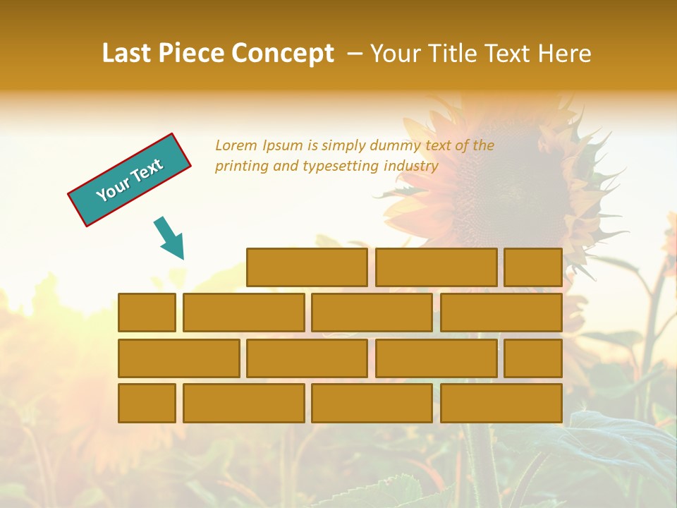 Sunflower Pollen Field PowerPoint Template