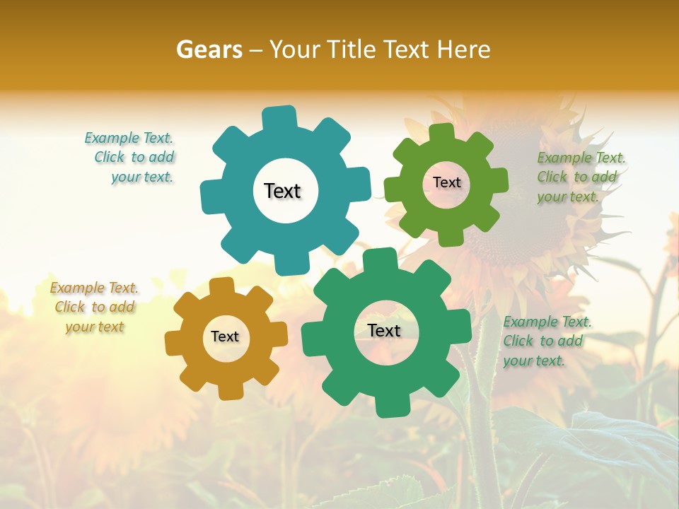 Sunflower Pollen Field PowerPoint Template