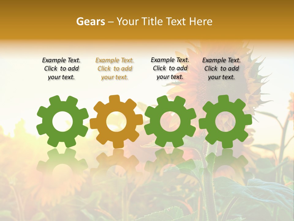 Sunflower Pollen Field PowerPoint Template