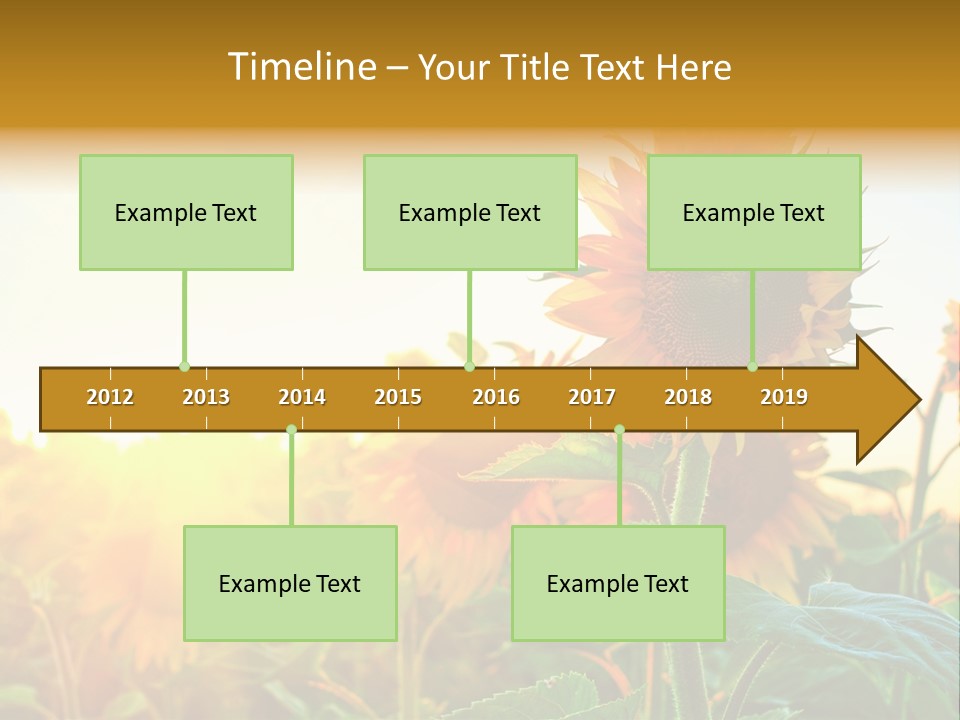 Sunflower Pollen Field PowerPoint Template