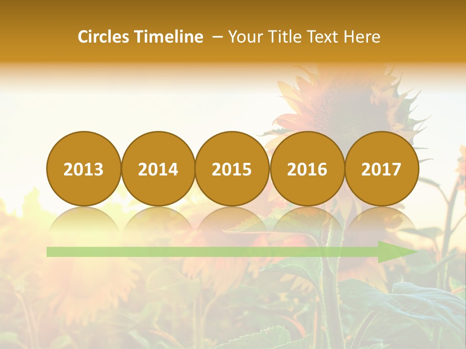 Sunflower Pollen Field PowerPoint Template