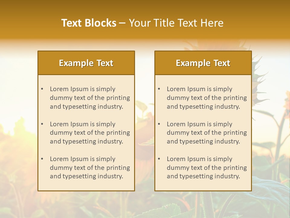 Sunflower Pollen Field PowerPoint Template