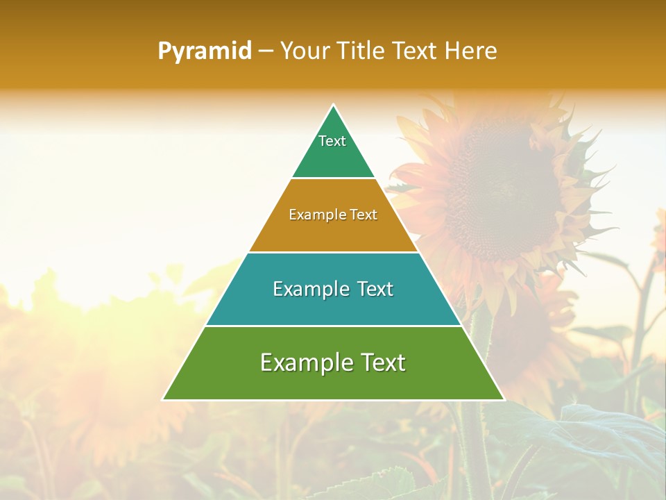 Sunflower Pollen Field PowerPoint Template