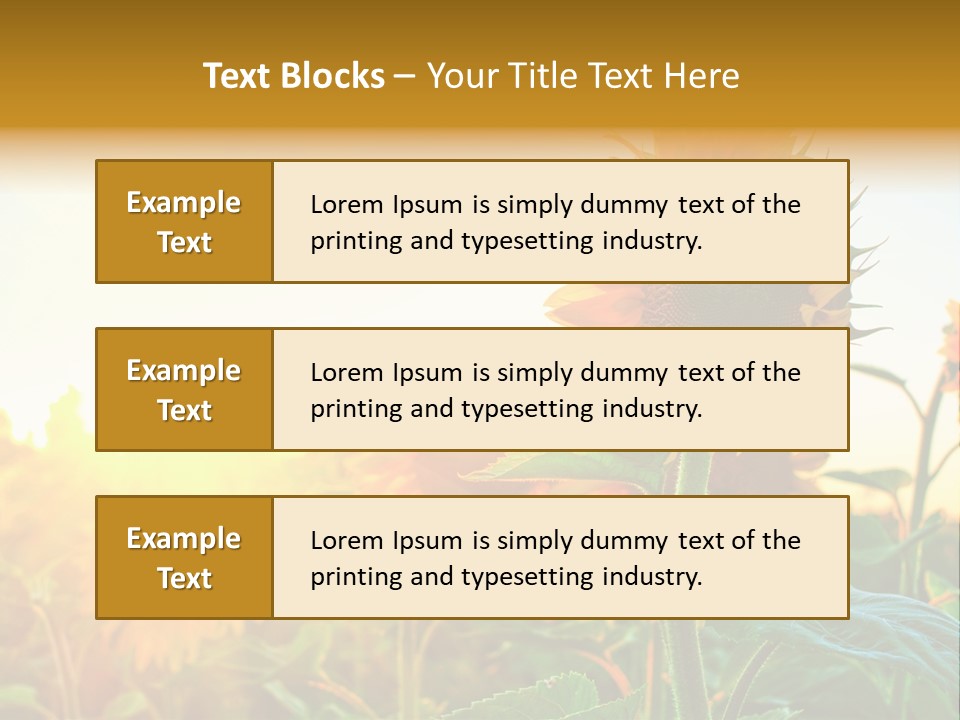 Sunflower Pollen Field PowerPoint Template