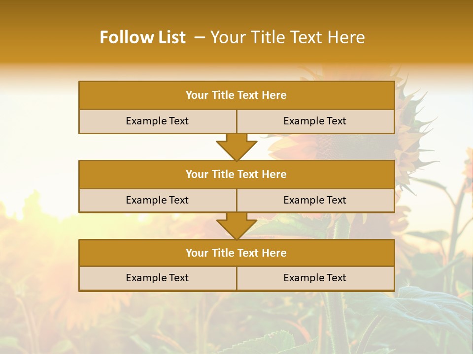 Sunflower Pollen Field PowerPoint Template